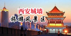 黄色高清人与兽的日B视频中国陕西-西安城墙旅游风景区